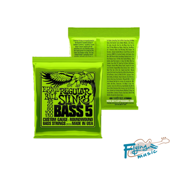 Ernie Ball Regular Slinky Bass 5 45-130